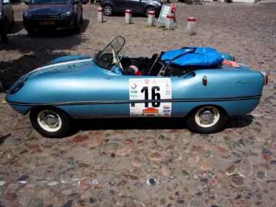 Goggomobil Dart pic04