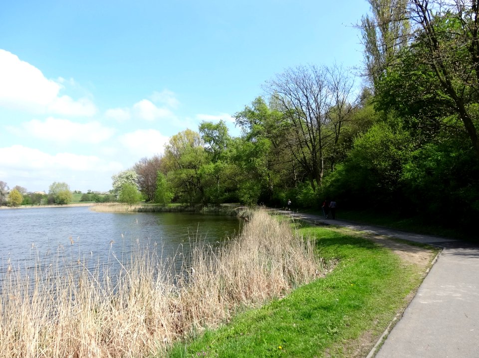 Gniezno jez park5 04-2014