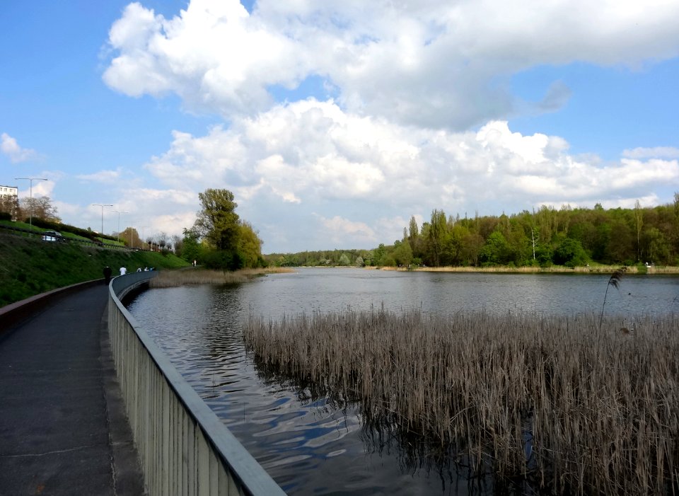 Gniezno jez park1 04-2014
