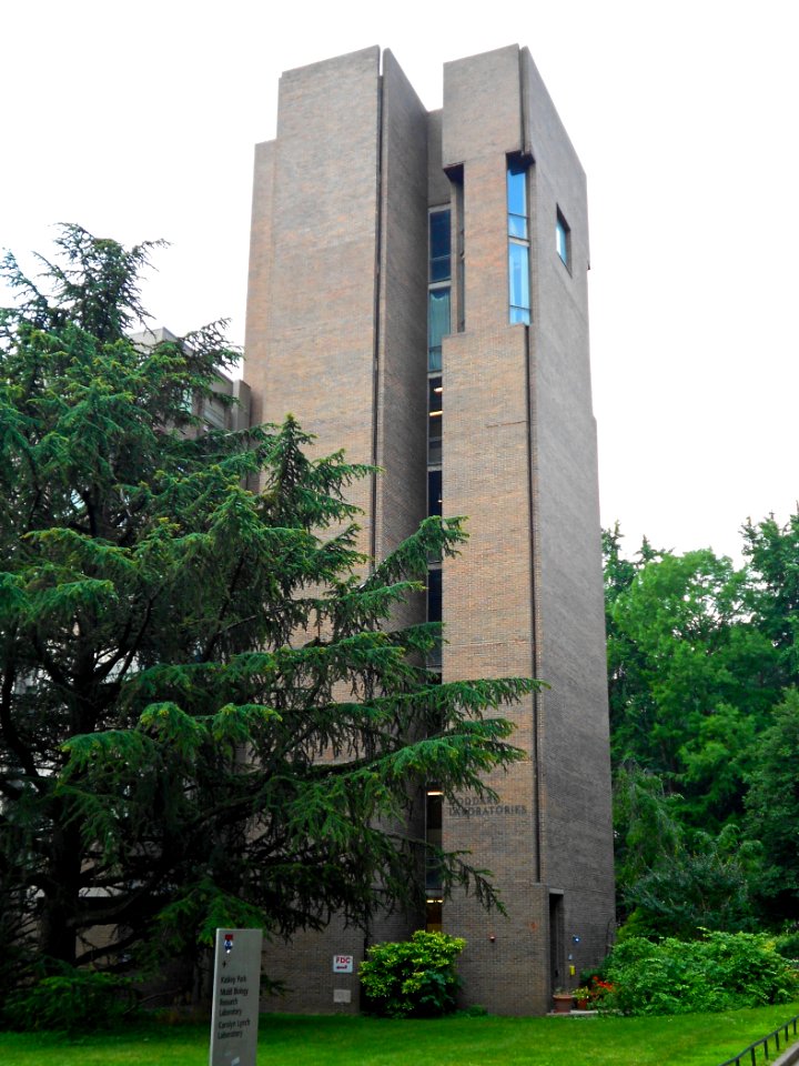 Goddard Tower Penn