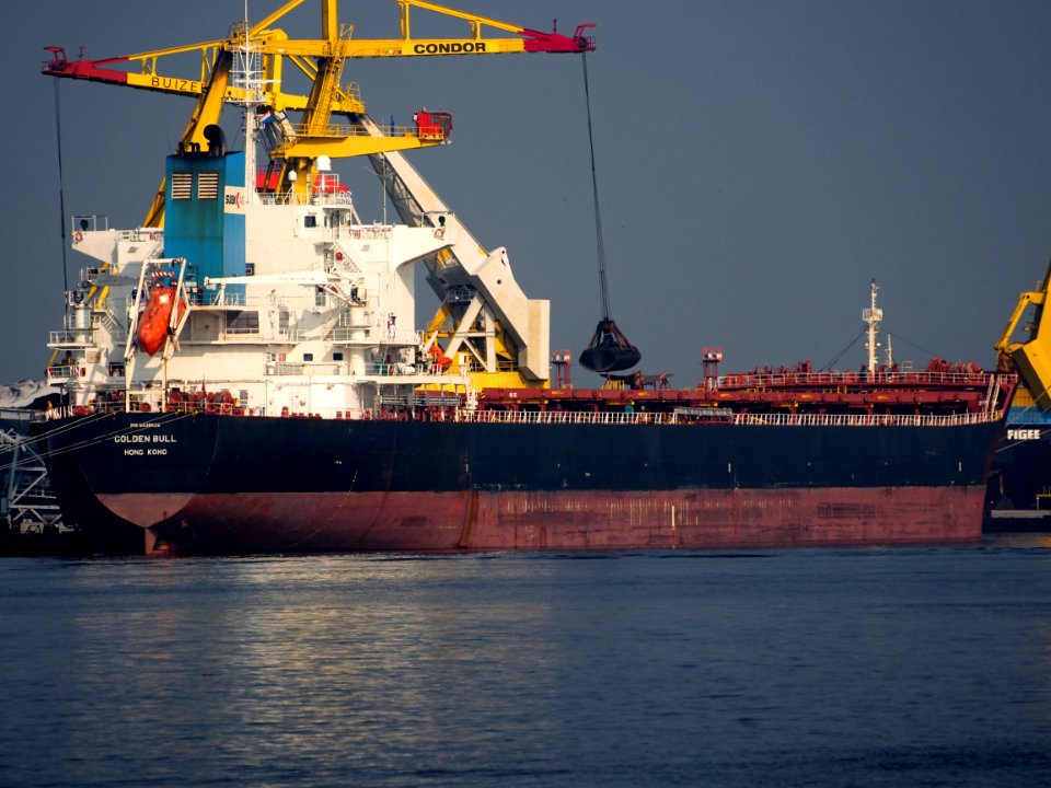 Golden Bull, IMO 9438626, Callsign VRKC7, Afrikahaven, Port of Amsterdam