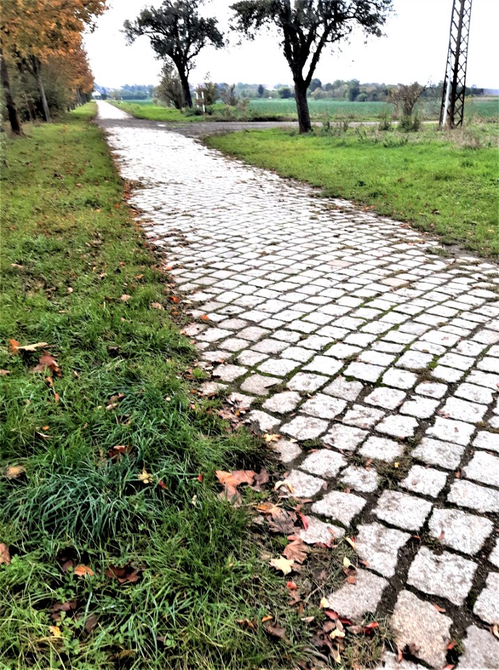 Goetheradweg bei Benkendorf