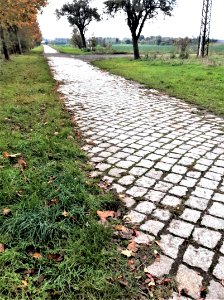 Goetheradweg bei Benkendorf