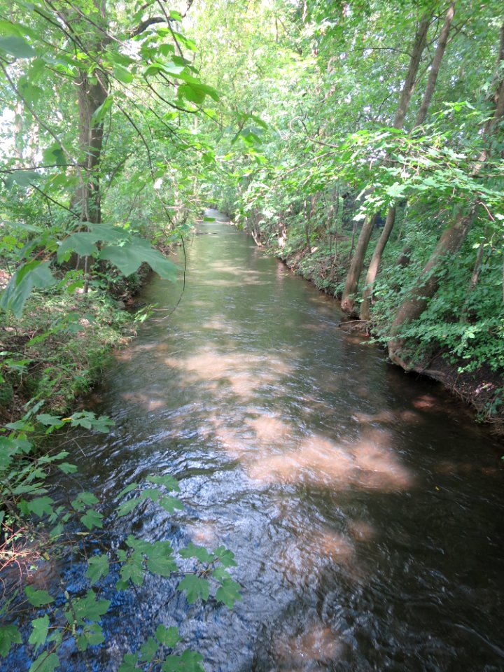 Goldach Ismaning 2