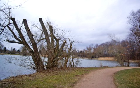 Goettinger-Kiessee-04