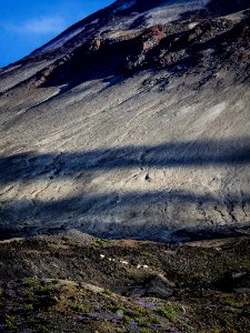 Goats Of Mt St Helens (165601067)