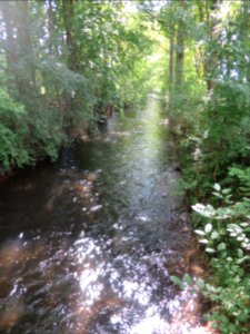 Goldach Ismaning 1