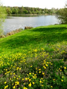 Gniezno jez park10 04-2014