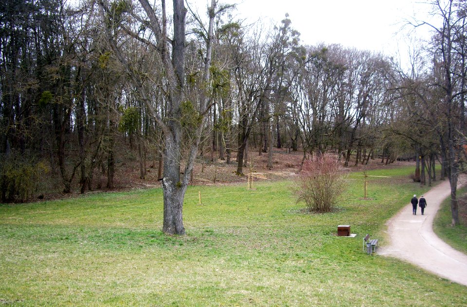 Goettinger-Kiessee-06