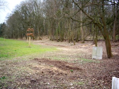 Goettinger-Kiessee-07