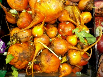 Golden beets in a pile photo