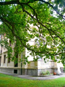 Gordejuela - Villa Cuba 08