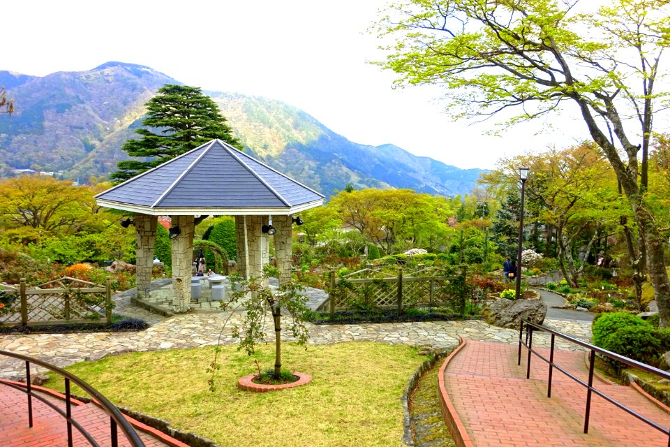 Gora Park - Hakone, Kanagawa, Japan - DSC08376