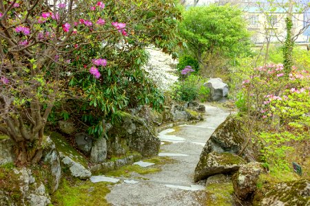 Gora Park - Hakone, Kanagawa, Japan - DSC08378