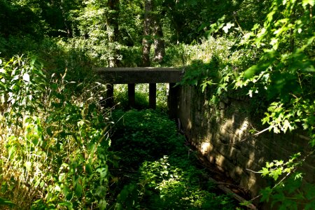 Goose Creek lock top gate converted to waste weir