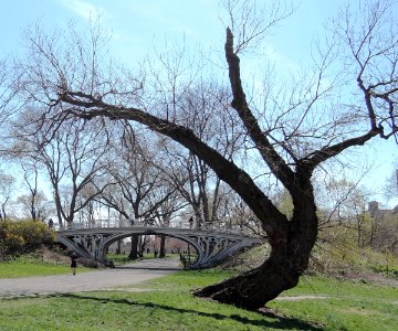 Gothic Bridge north of Central Park Reservoir PM jeh