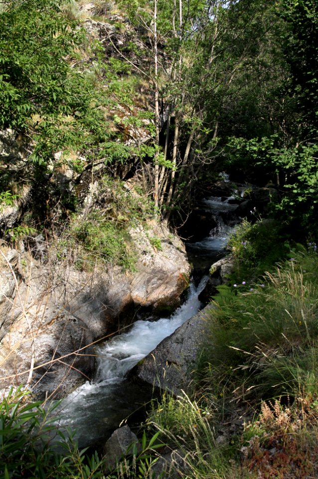 Gorges du Sègre 21072019 25 7117