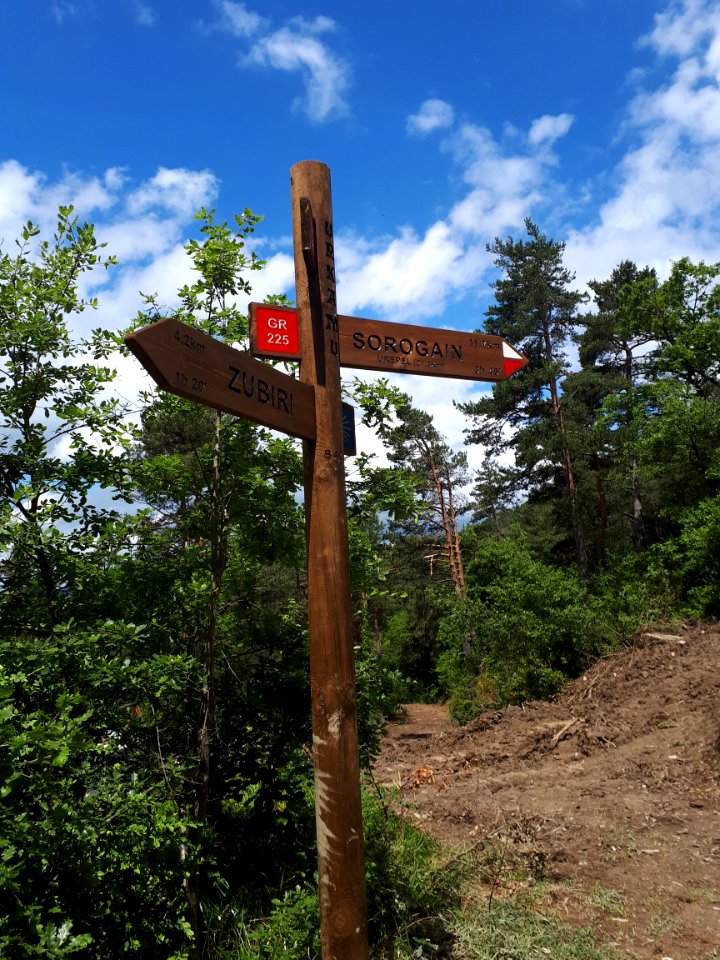GR 65 waymark on the Puerto de Erro