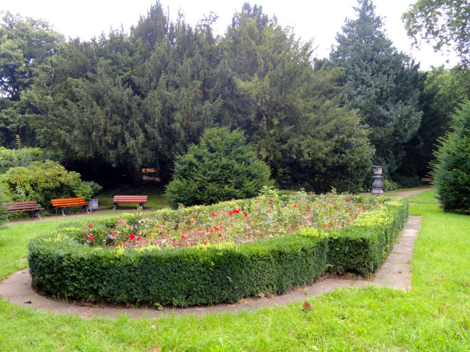 Grüneburgpark, Frankfurt - DSC01566