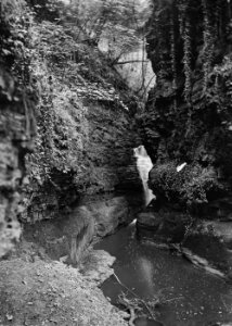 Gorge, Radnorshire (1294585)