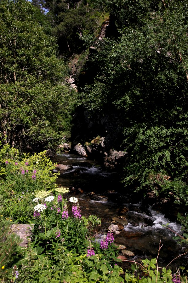 Gorges du Sègre 21072019 19 7000