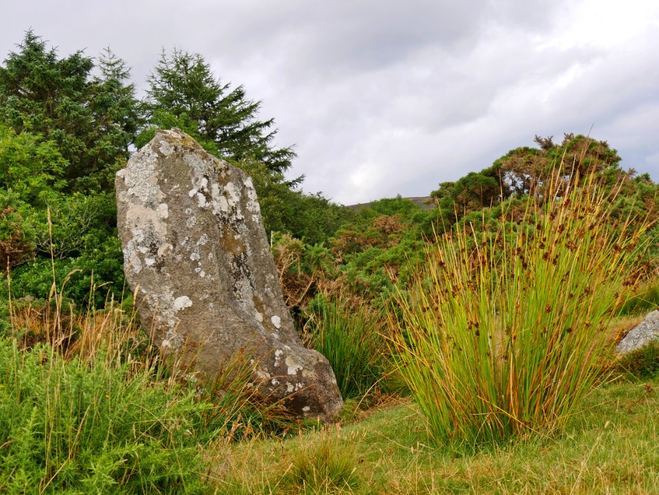 Gors Fawr Northern Standing Stone H3a