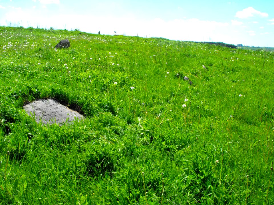 Gory jewish cemetery 1b