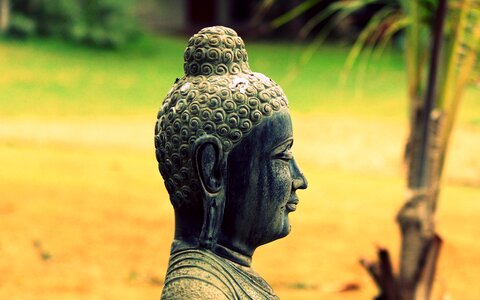 Buddha statue park photo