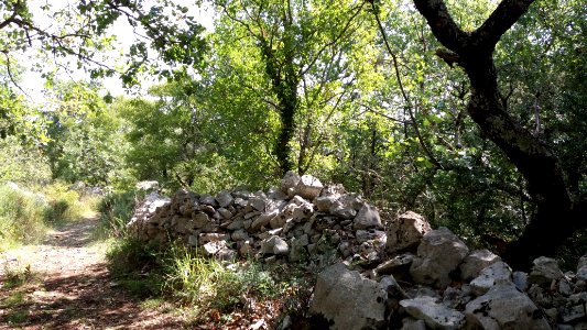 Gorges de l'Ardèche entre Lanas et Balazuc 15
