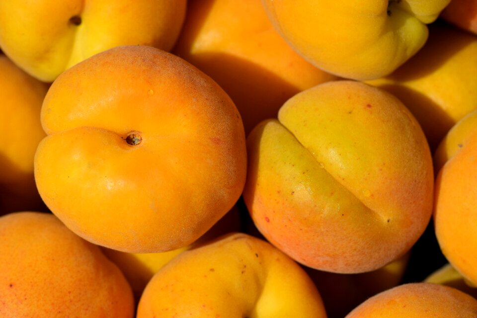 Delicious healthy fruits