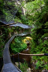 Gorges de la Fou 05082014 2