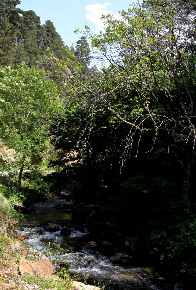 Gorges du Sègre 21072019 14 6691