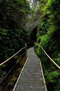 Gorges de la Fou 05082014 1