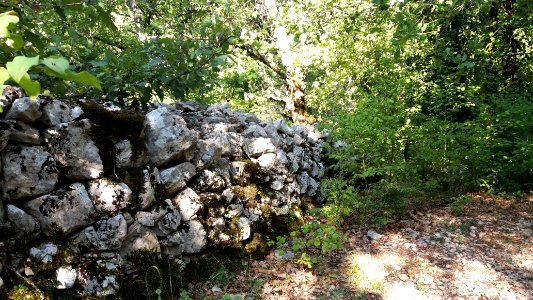 Gorges de l'Ardèche entre Lanas et Balazuc 01