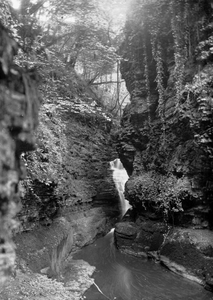 Gorge, Radnorshire (1294258)