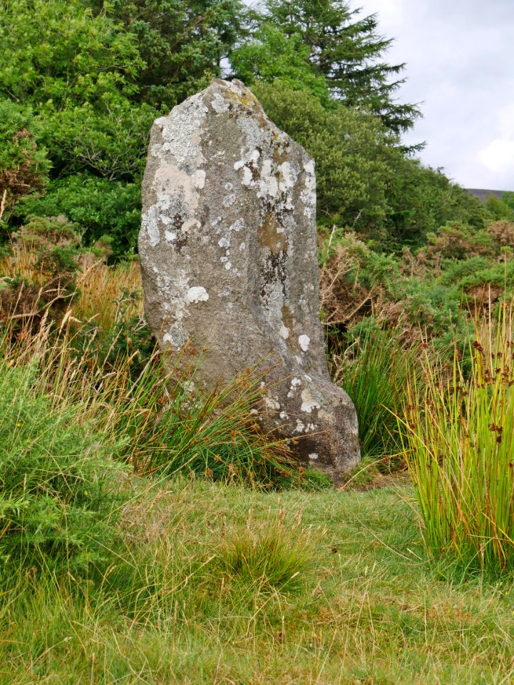 Gors Fawr Northern Standing Stone H4a