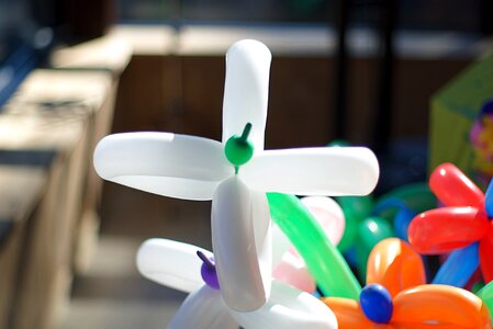 Balloon flower flowers