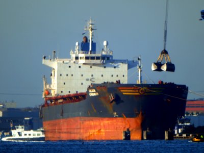 Golden Strength - IMO 9413420 - Callsign VRFA7 , Port of Amsterdam photo-1