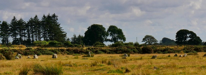 Gors Fawr Stone Circle H2b