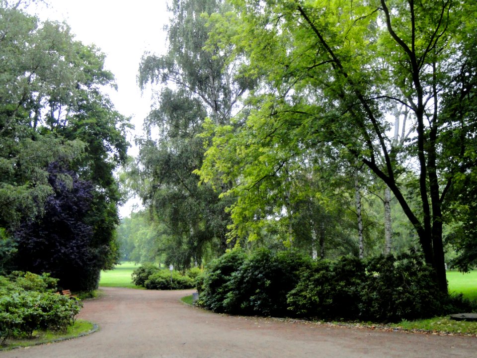 Grüneburgpark, Frankfurt - DSC01545