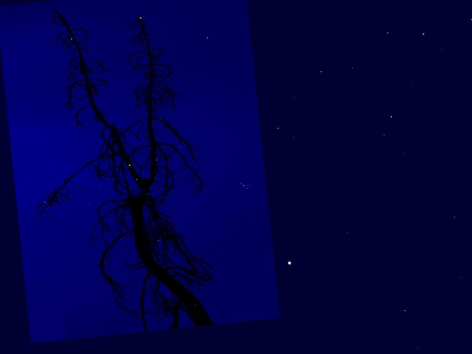 Goldenes.Tor.der.Ekliptik.Venus.toter.Baum