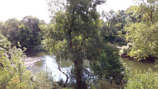 Gorges de l'Ardèche entre Lanas et Balazuc 05