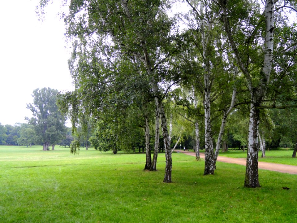 Grüneburgpark, Frankfurt - DSC01549