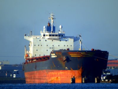 Golden Strength - IMO 9413420 - Callsign VRFA7 , Port of Amsterdam photo-2
