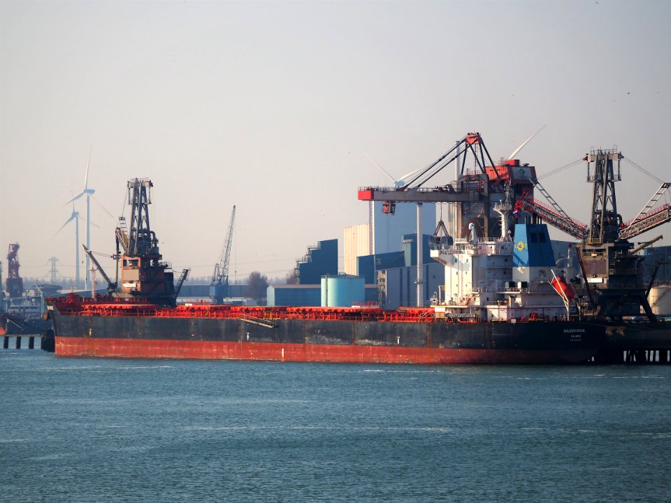 Golden Rose (ship, 2012) IMO 9590747, Port of Rotterdam pic2