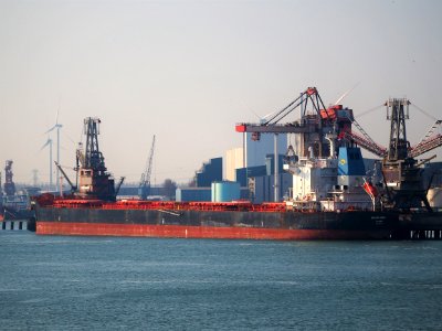 Golden Rose (ship, 2012) IMO 9590747, Port of Rotterdam pic2