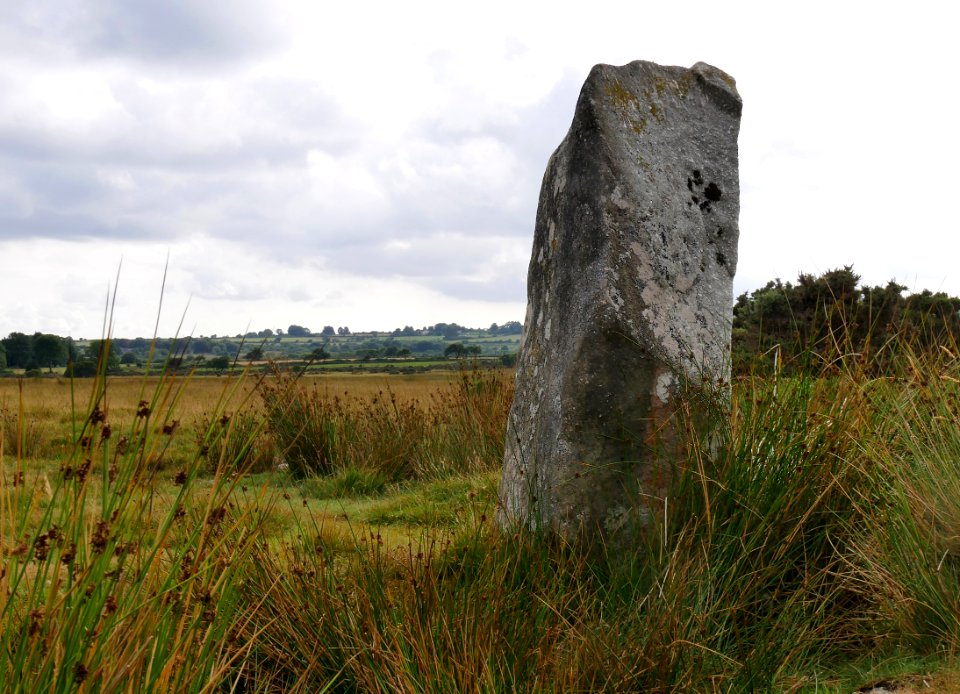 Gors Fawr Southtern Standing Stone H3a