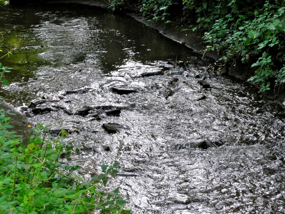 Gooyergracht1