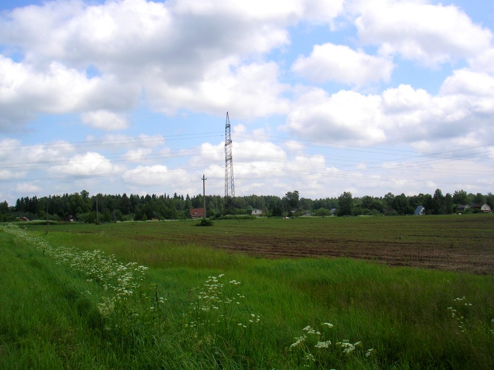 Gorki Yadromin 2
