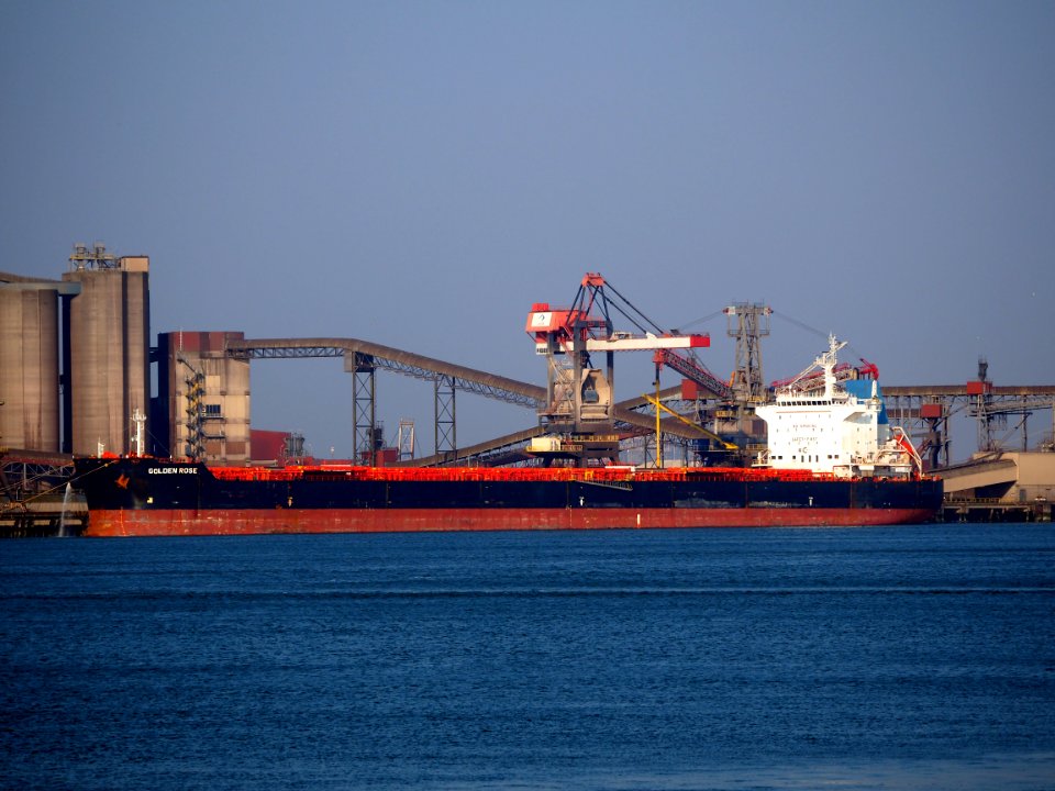 Golden Rose (ship, 2012) IMO 9590747, Port of Rotterdam pic3